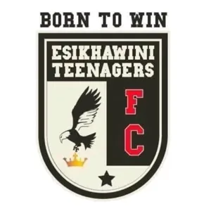 Esikhawini Teenagers FC logo